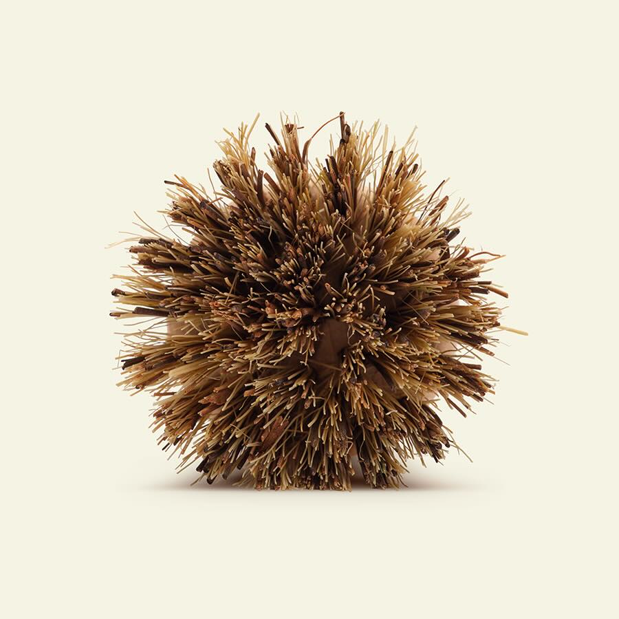 La brosse naturelle à vaisselle - Image 5